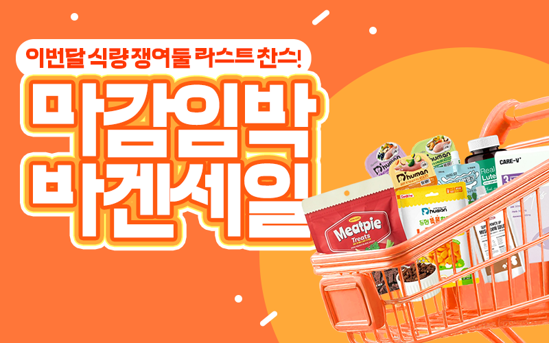 1월 바이잇데이이미지 없음