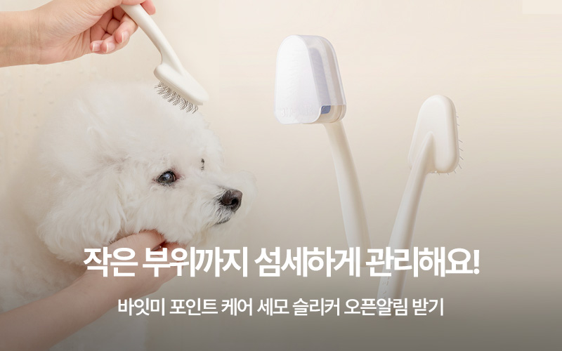 세모슬리커 오픈알림이미지 없음