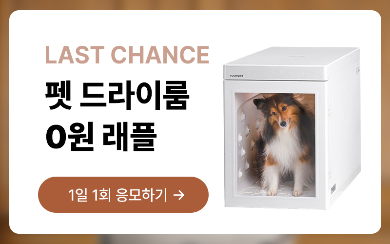 12월 2주차 래플 이벤트이미지 없음