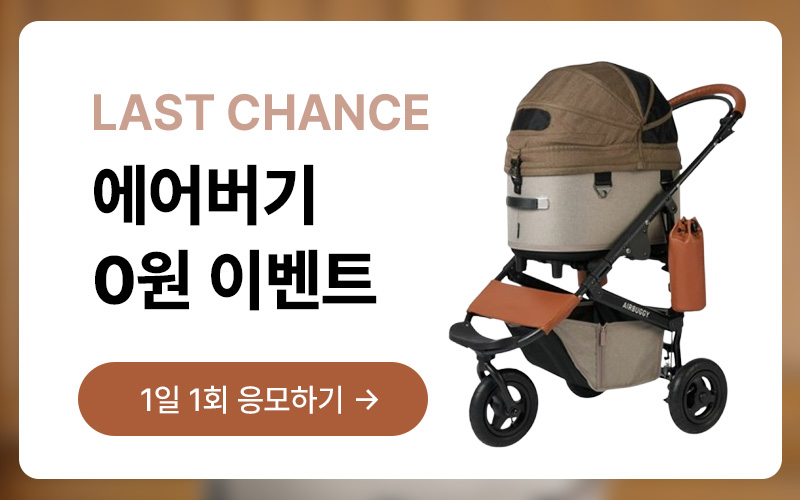 에어버기 0원 래플이미지 없음