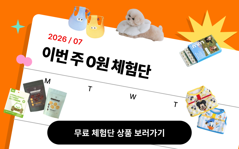 6월 체험단 29주차이미지 없음