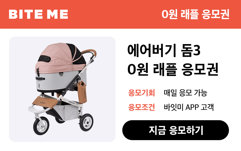 11월 2주차 래플 이벤트이미지 없음