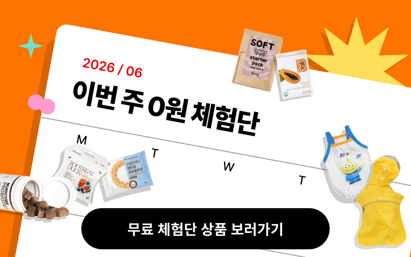 6월 체험단 26주차이미지 없음