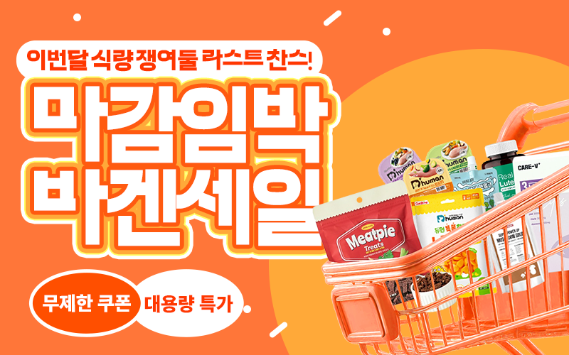 9월 바이잇데이이미지 없음