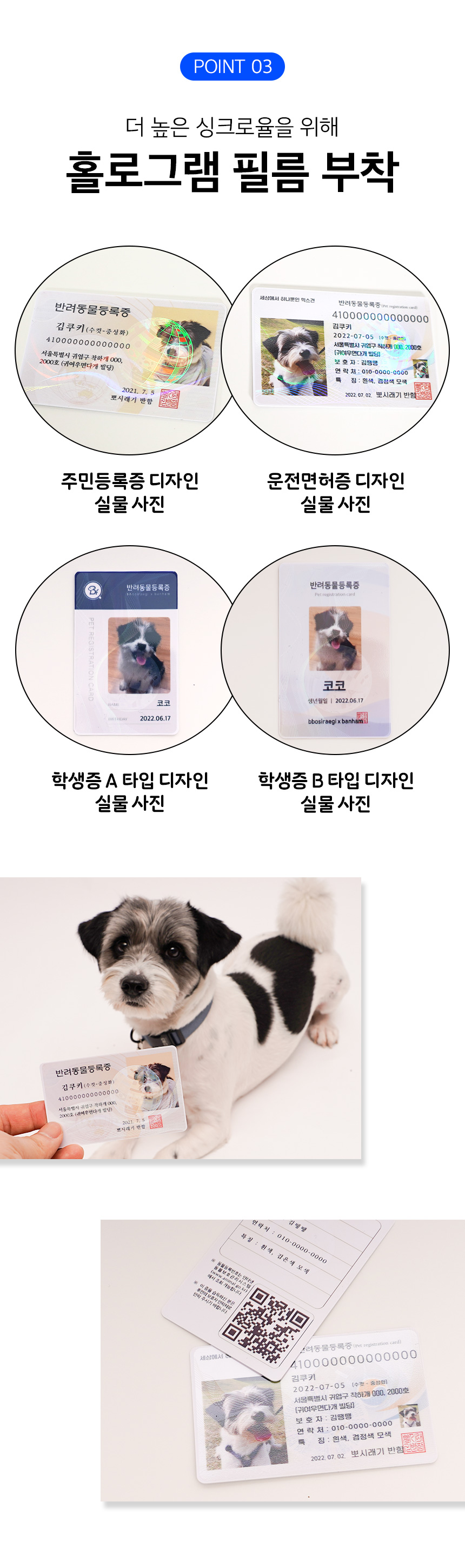 dog_card7_161631.jpg