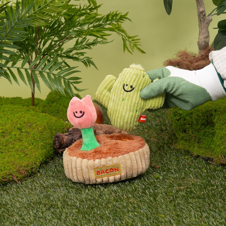 바잇미 베이컨박스 가드닝 헌팅 토이