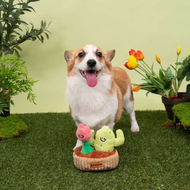 바잇미 베이컨박스 가드닝 헌팅 토이